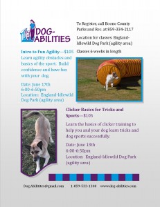 Intro to Fun Agility class and Clicker Basics for Sports and Tricks class
