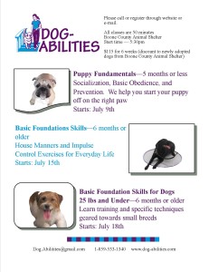 Summer Group Dog Training Classes