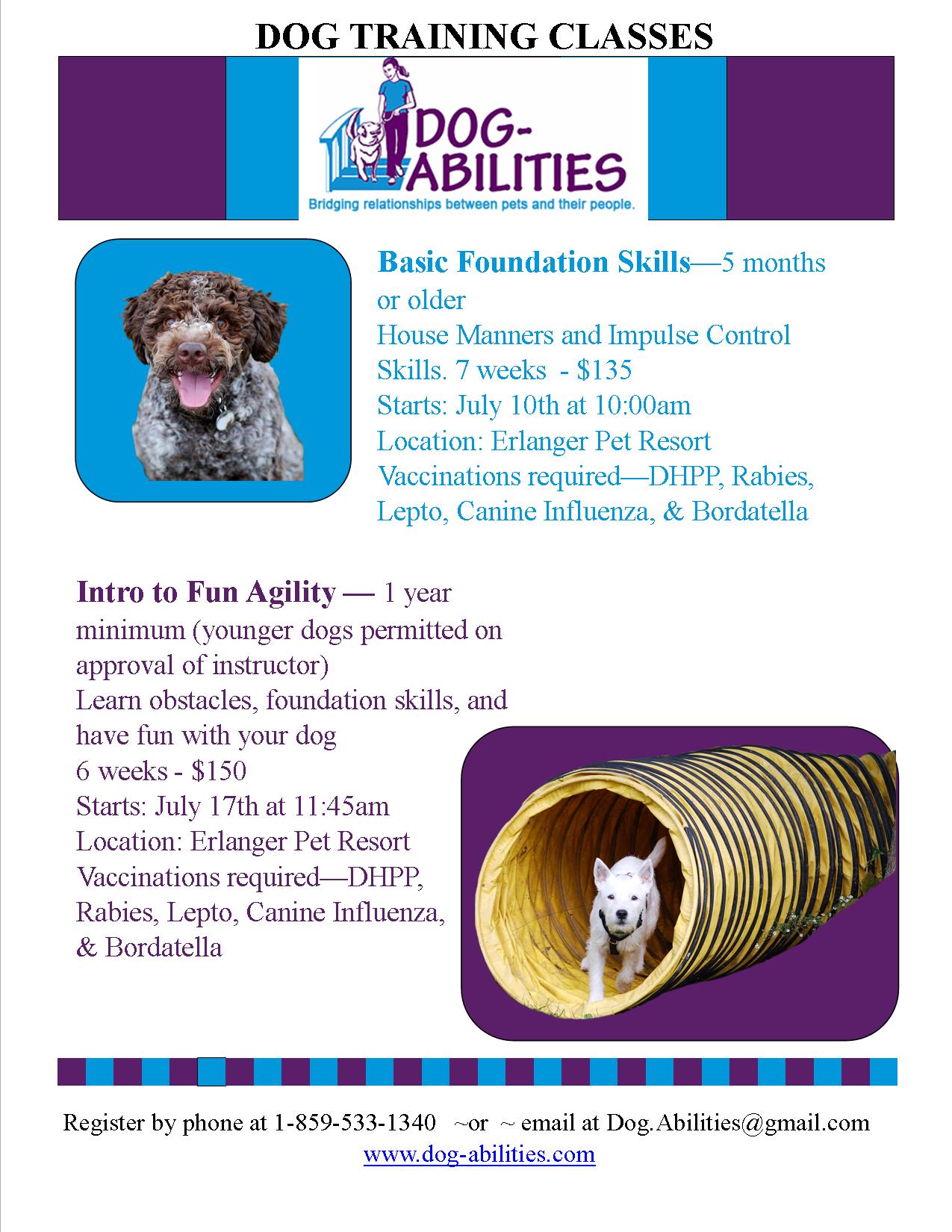 Dog-Abilities classes - Erlanger Vet-July2016