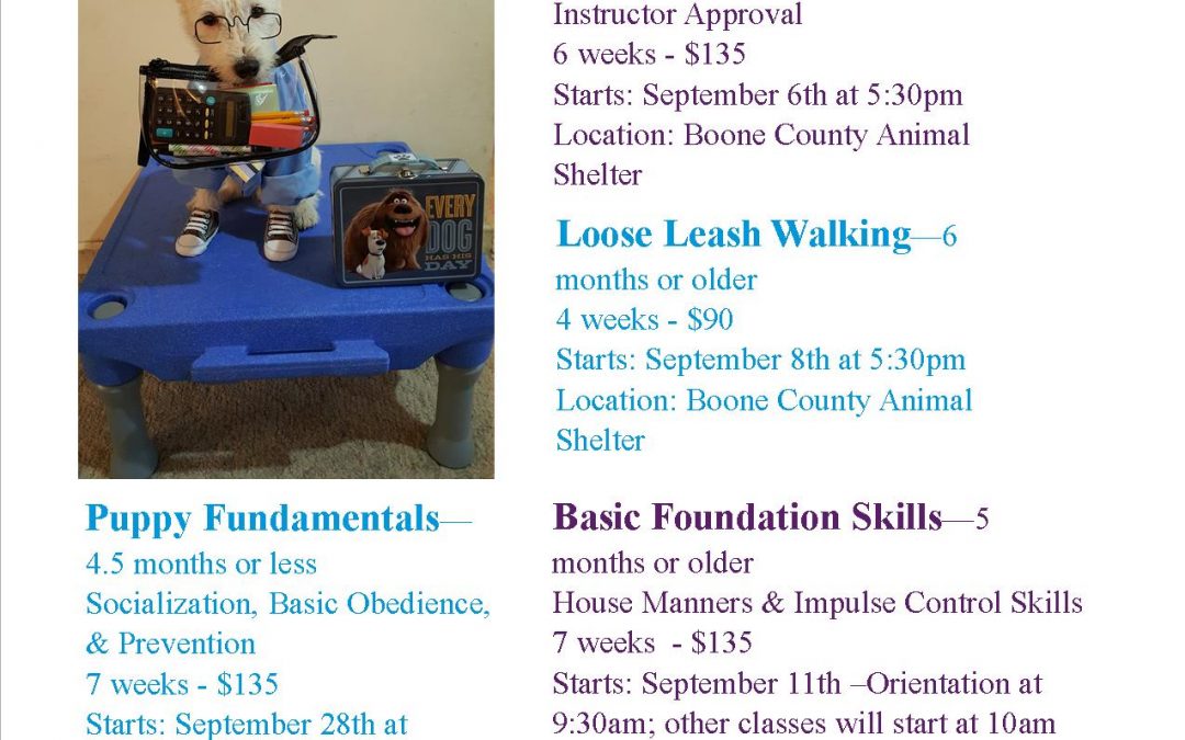 Back to School Group Dog Training Classes
